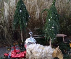 At the doctor (Part 1) – Day 4 of Advent