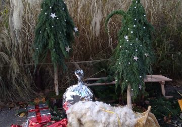 At the doctor (Part 1) – Day 4 of Advent